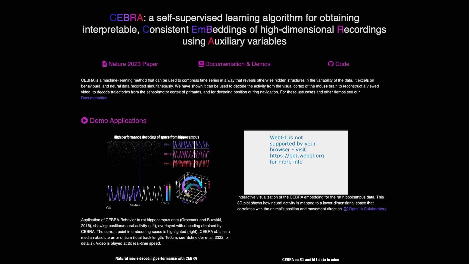 Cebra cover