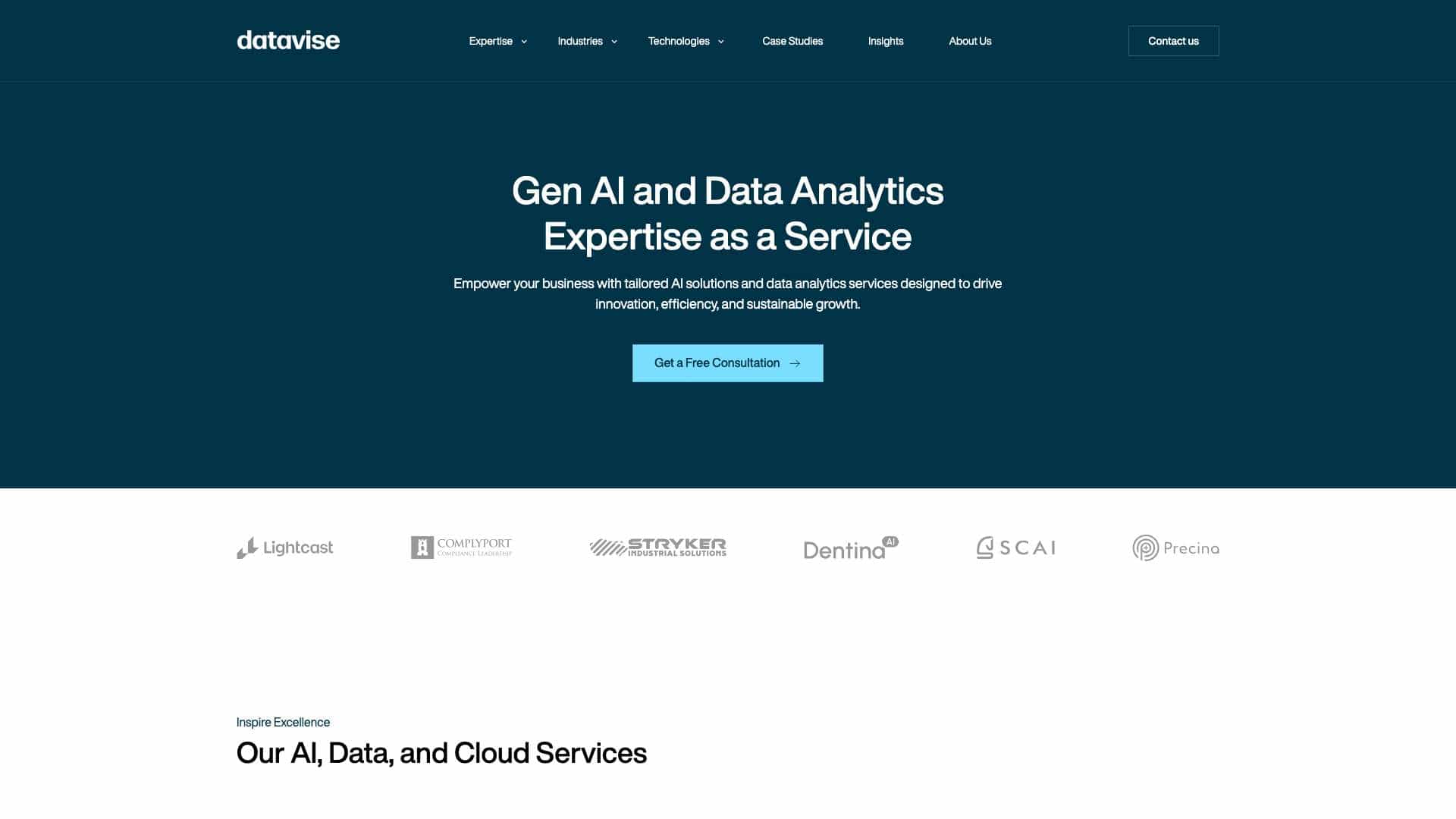 Datavise cover
