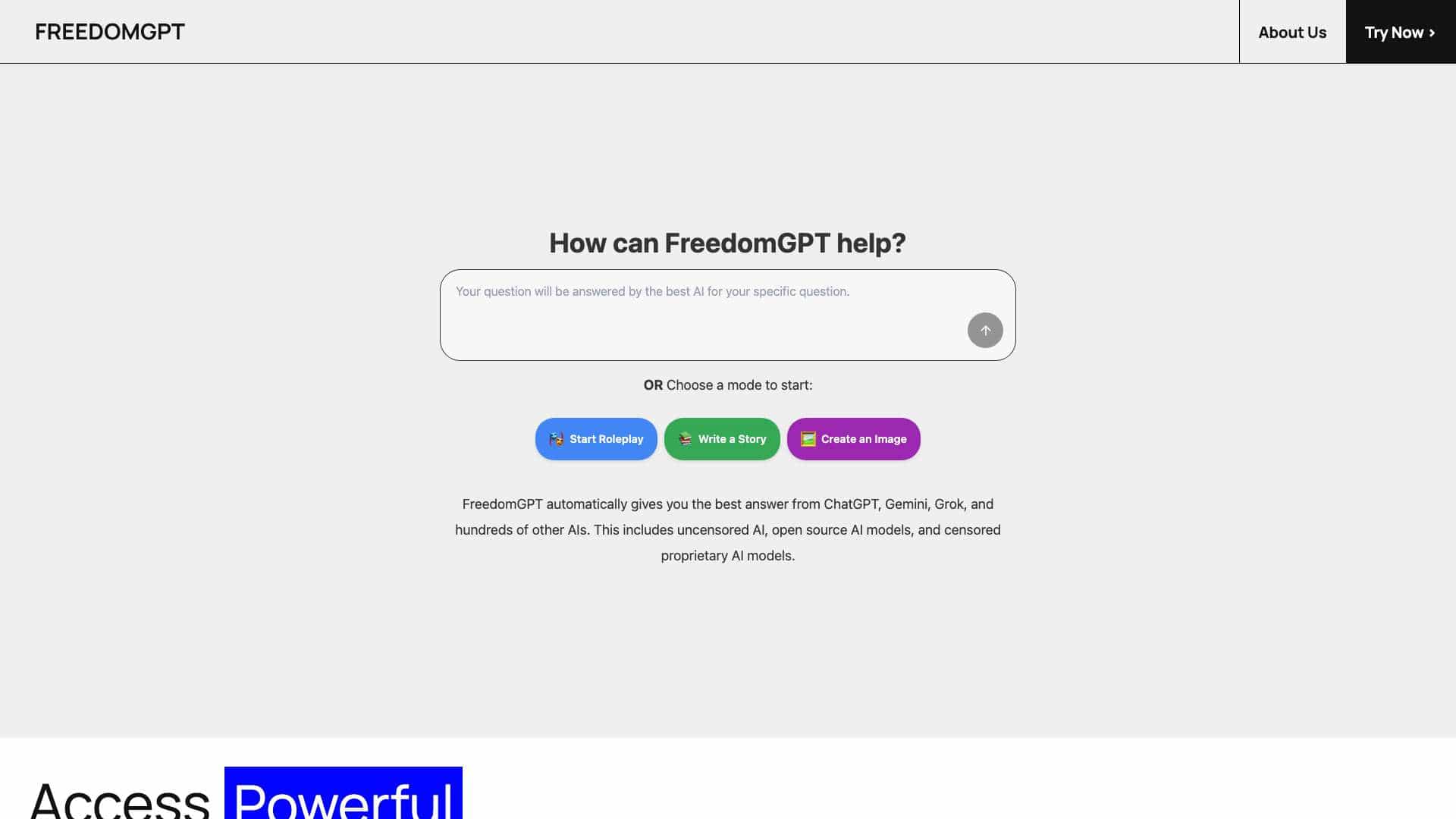 FreedomGPT cover