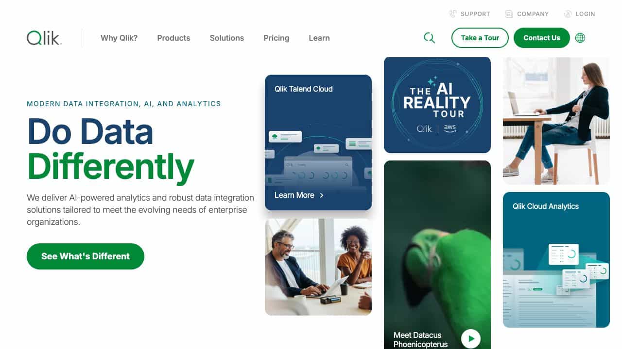 Qlik cover
