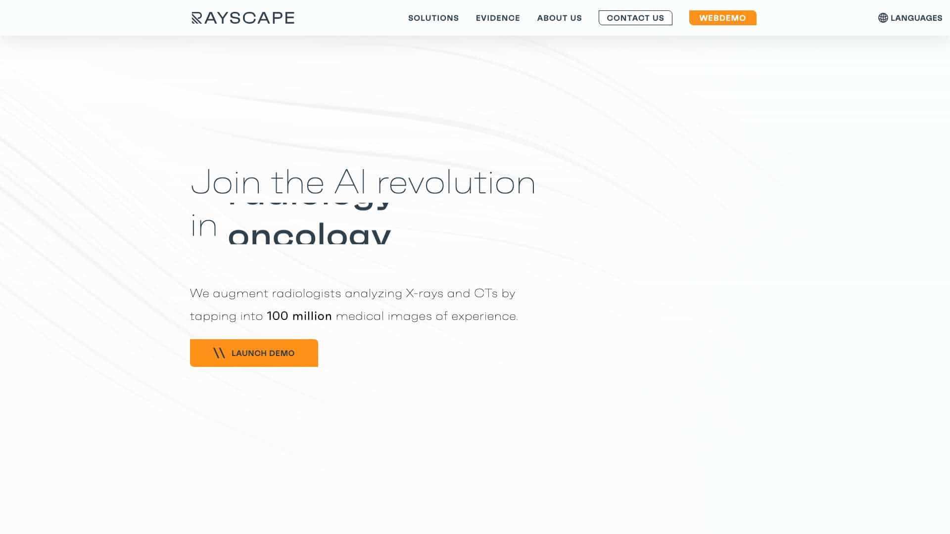 Rayscape cover
