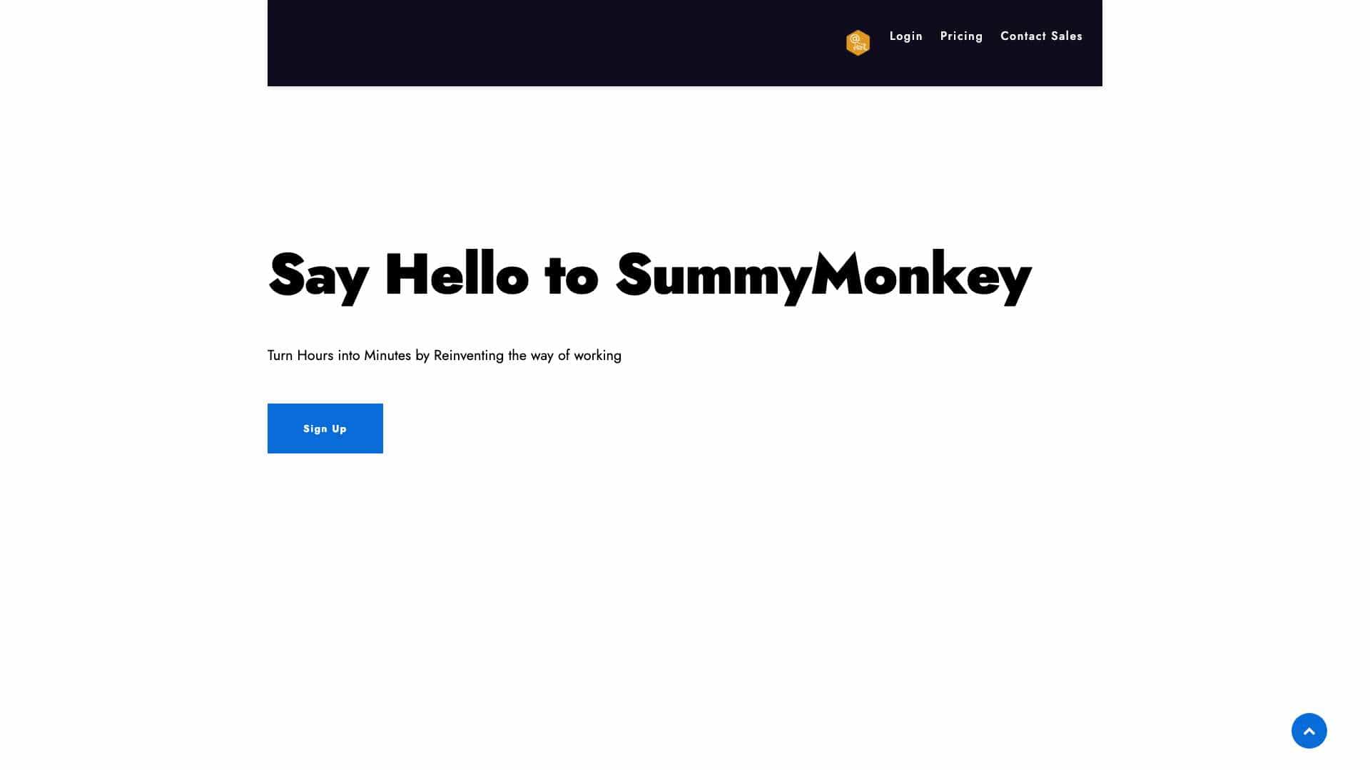 SummyMonkey cover